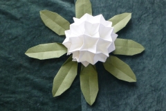 02-P1000183