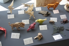 15-IMG_1189