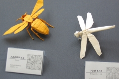 17-IMG_1191