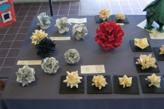 57-IMG_1231