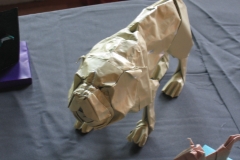 35-IMG_1619