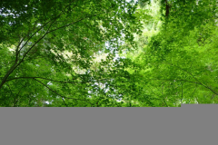 joas_p1000459_sml
