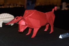 100-DSC09712