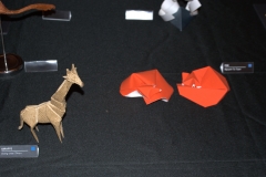 105-DSC09717