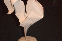 110-DSC09722