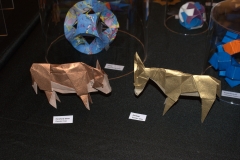 131-DSC09743