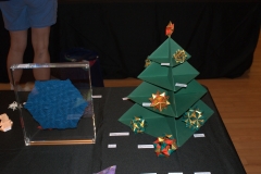 137-DSC09749