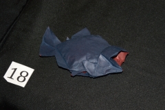 146-DSC09758