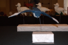 152-DSC09764