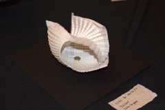 155-DSC09767