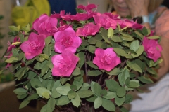 image043