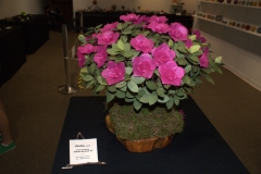 image081